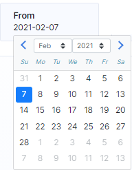 Report From date